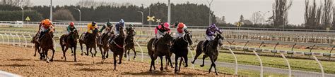 Cambridge Racecourse .